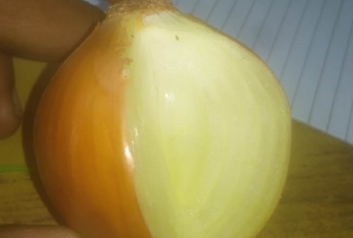 onion supply from afghanistan in lucknow