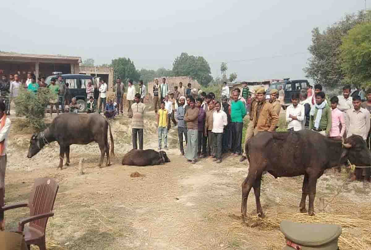 mother took out burial body from grave of her girl in fatehpur
