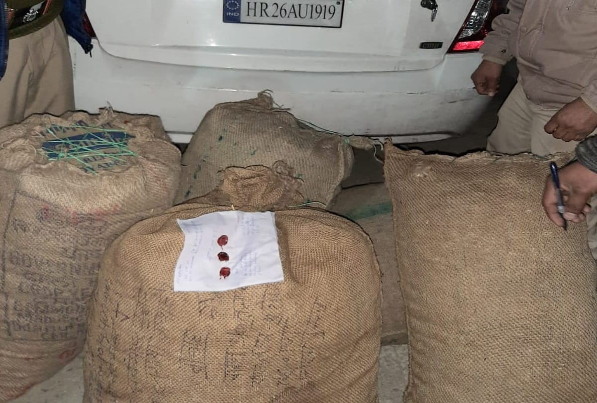 A large number of poppy plants recovered from the car in kullu the accused escaped
