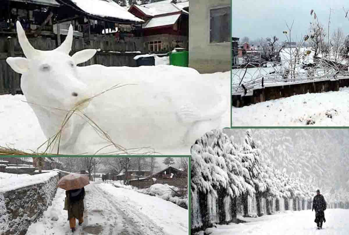 Heavy rain and snowfall alert in Jammu Kashmir, Mughal Road Closed For Traffic Due To Snowfall