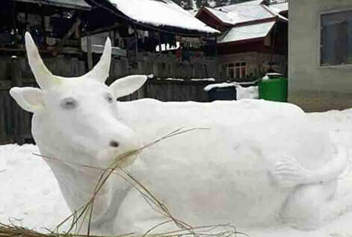 Heavy rain and snowfall alert in Jammu Kashmir, Mughal Road Closed For Traffic Due To Snowfall