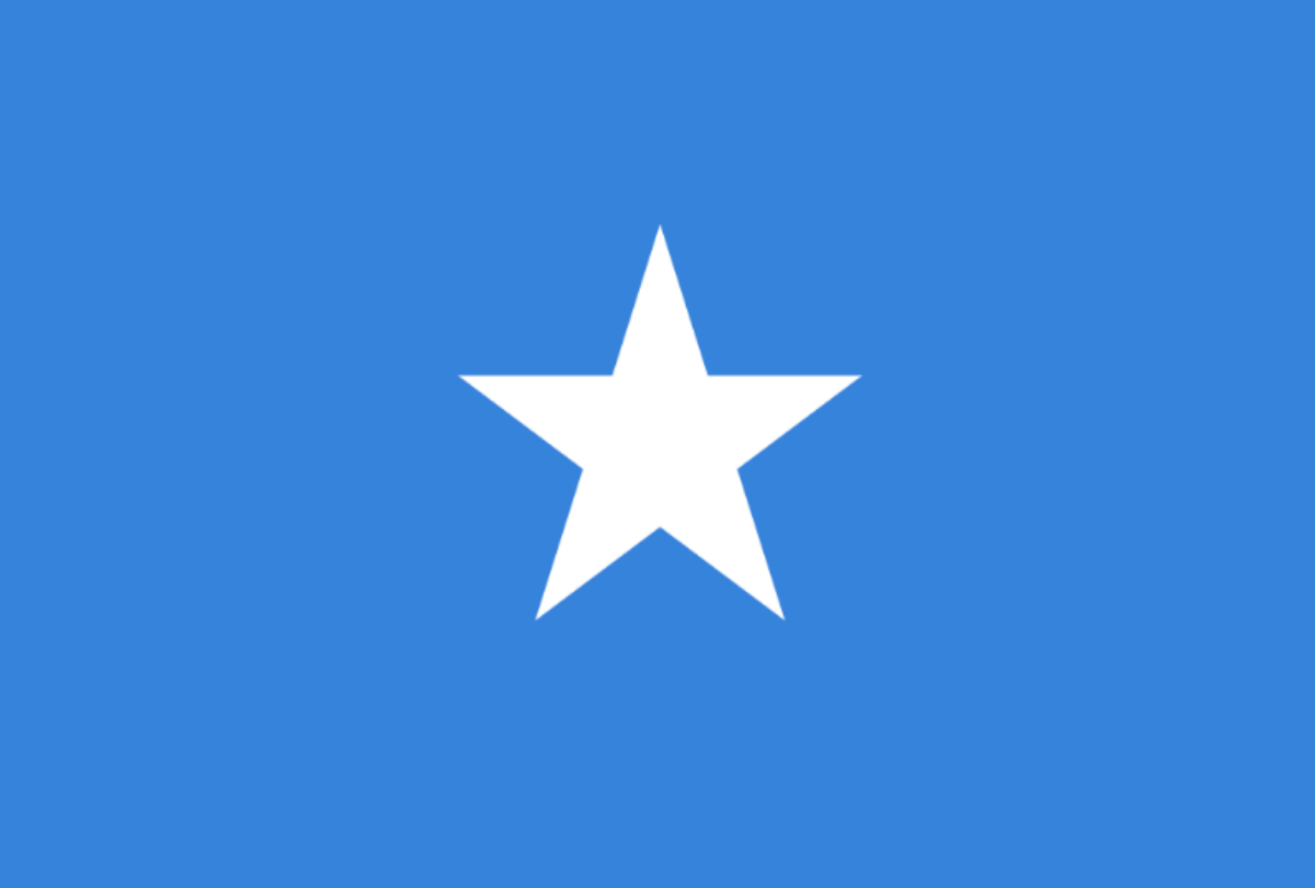 Somalia pm Mohamed Hussein Robal sacked over corruption charges