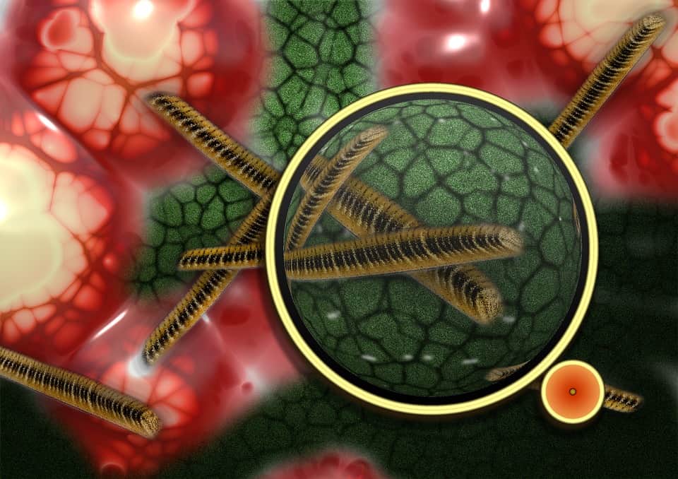 syphilis sexual contact diseases symptoms causes treatment and prevention