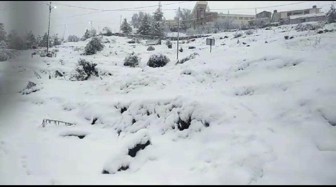 heavy snowfall in auli uttarakhand