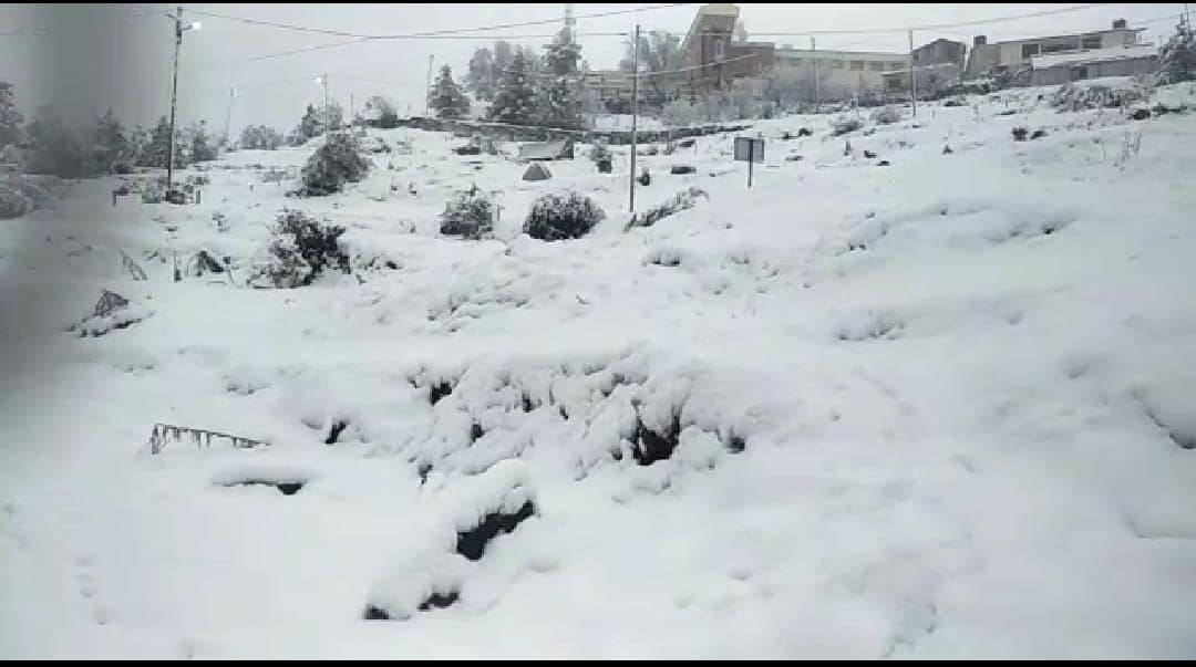 heavy snowfall in auli uttarakhand