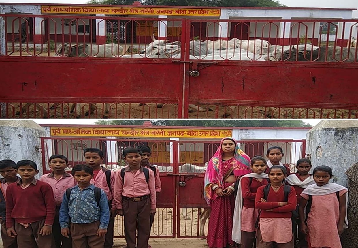 farmers closed cattle at school in banda