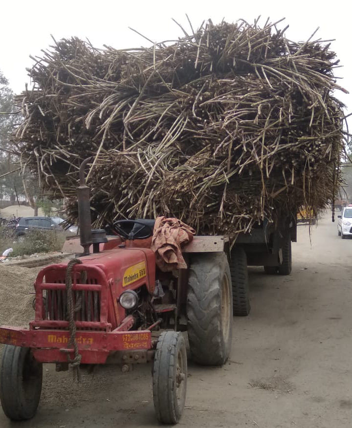Bike slashed under a sugarcane trolley, young man dies