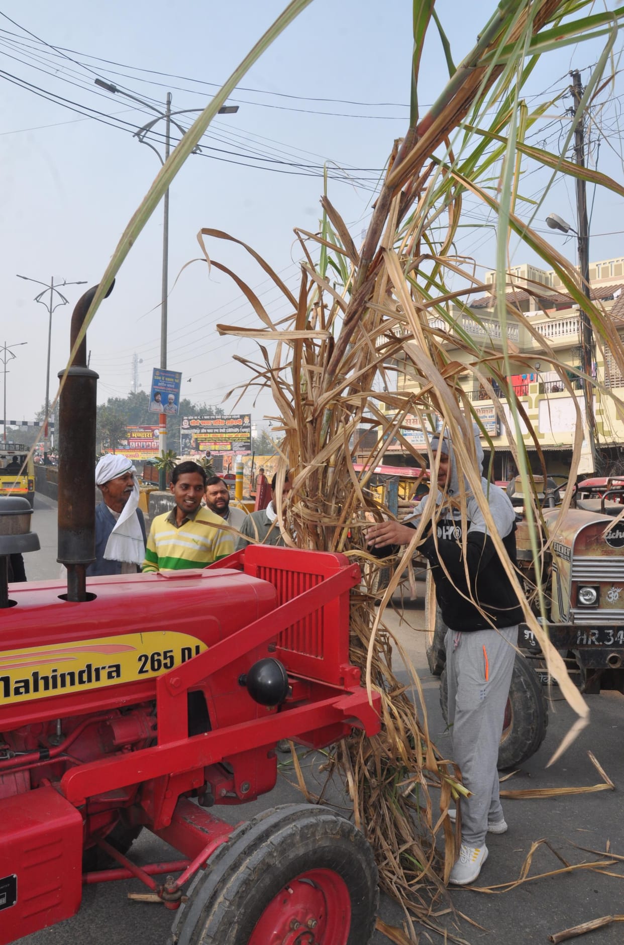 Sugarcane jam on increase in price