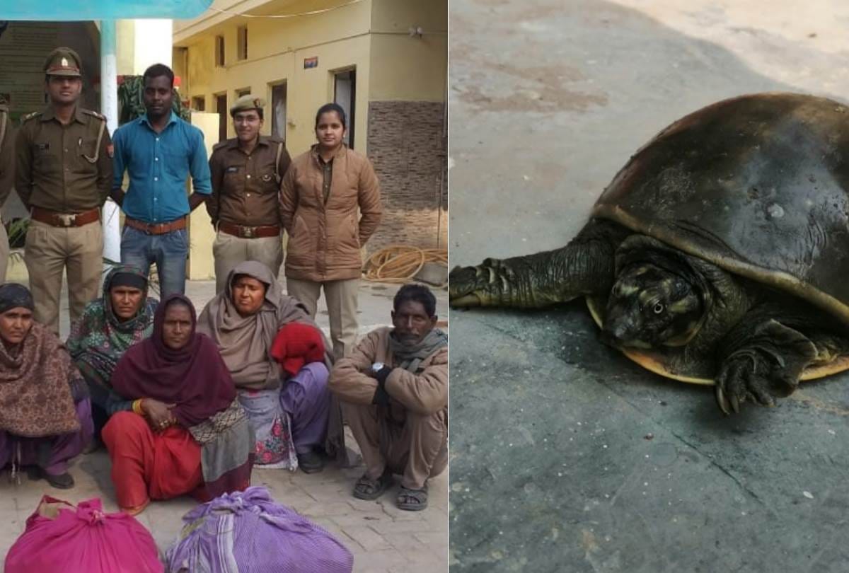five smugglers caught with 55  turtles in malihabad