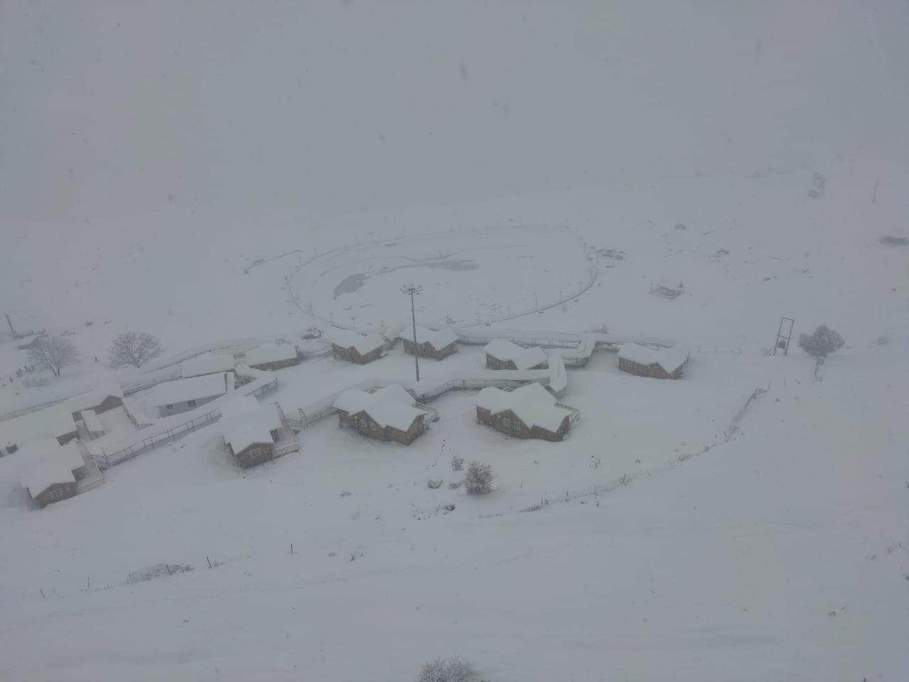 heavy snowfall in auli tourist enjoying photos