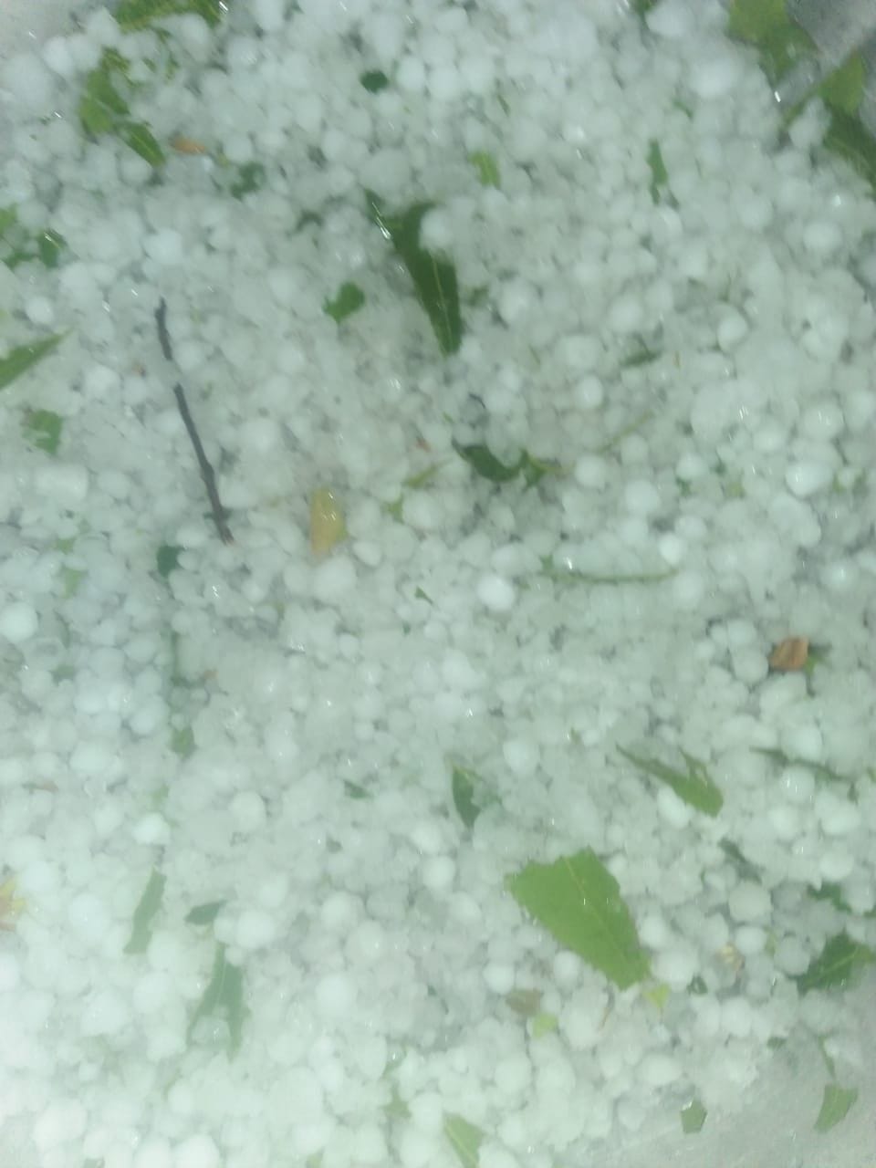 Rain in Aligarh