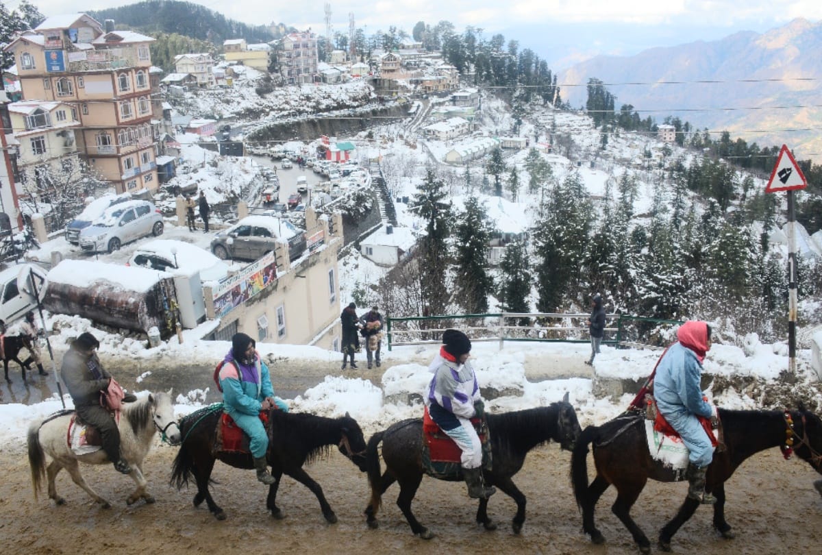 Himachal: Methane and CNG gas will be made from the dung of Kufri's horses