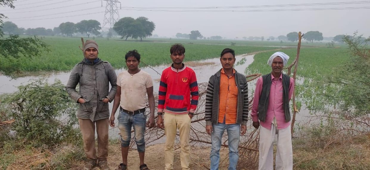 Bullies filled the water in field.