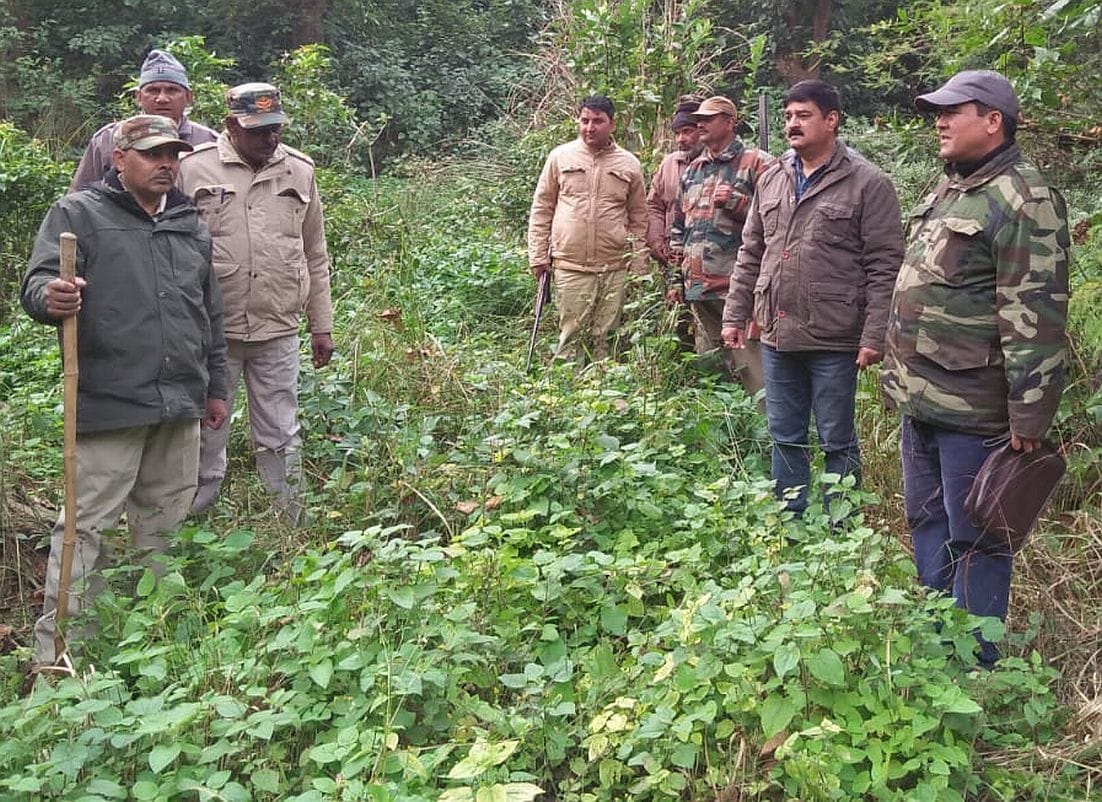 Forest workers sacked the forest on the information of tiger