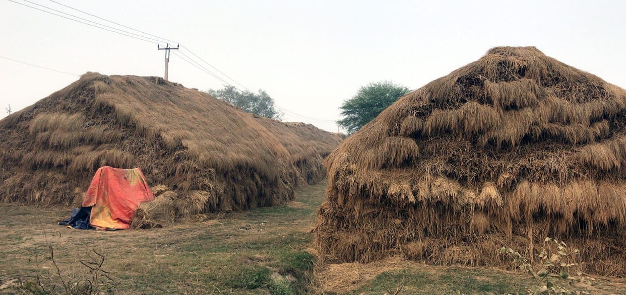 parali dump