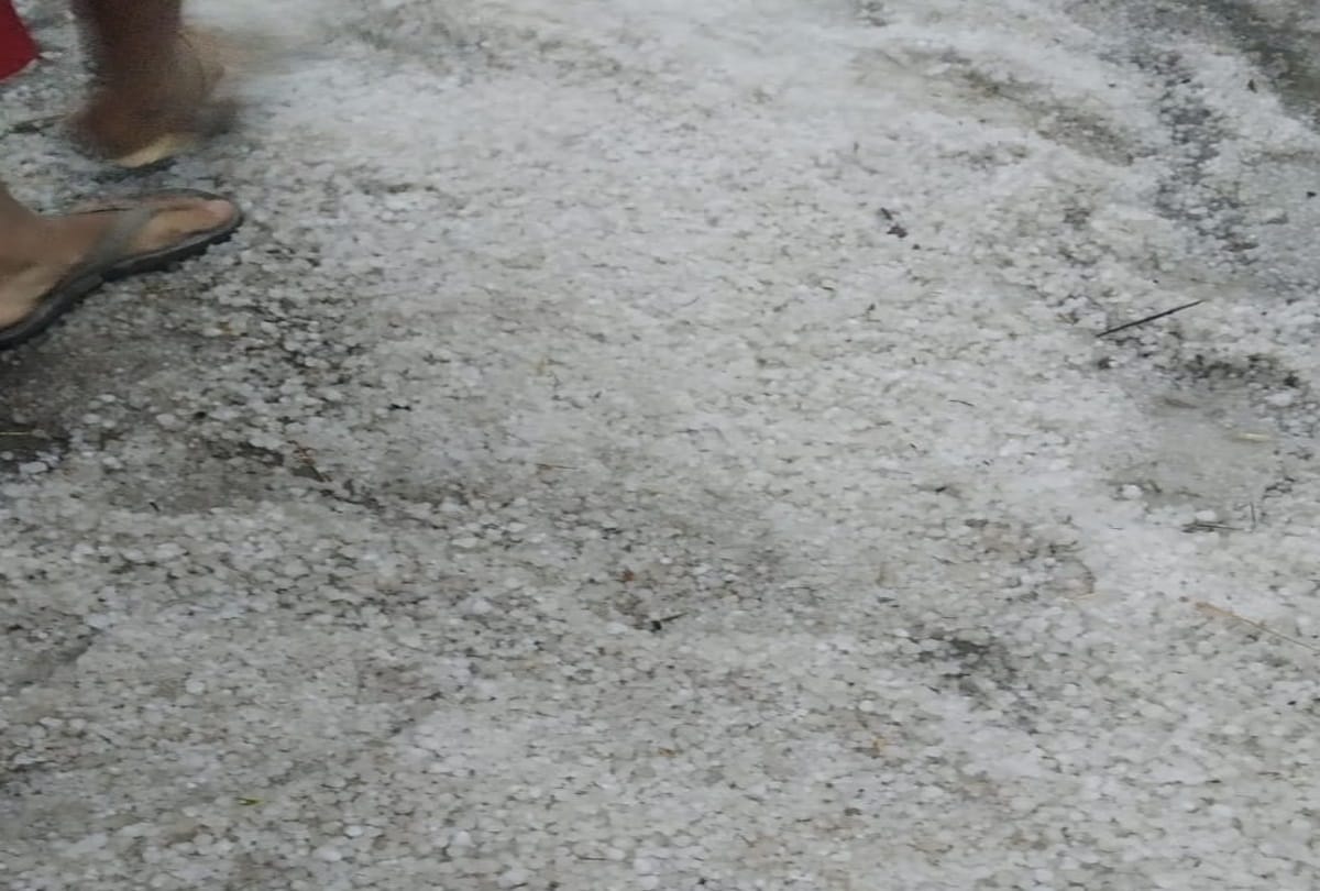 heavy rainfall in many parts of uttar pradesh and delhi ncr potato crops destroyed many house fall
