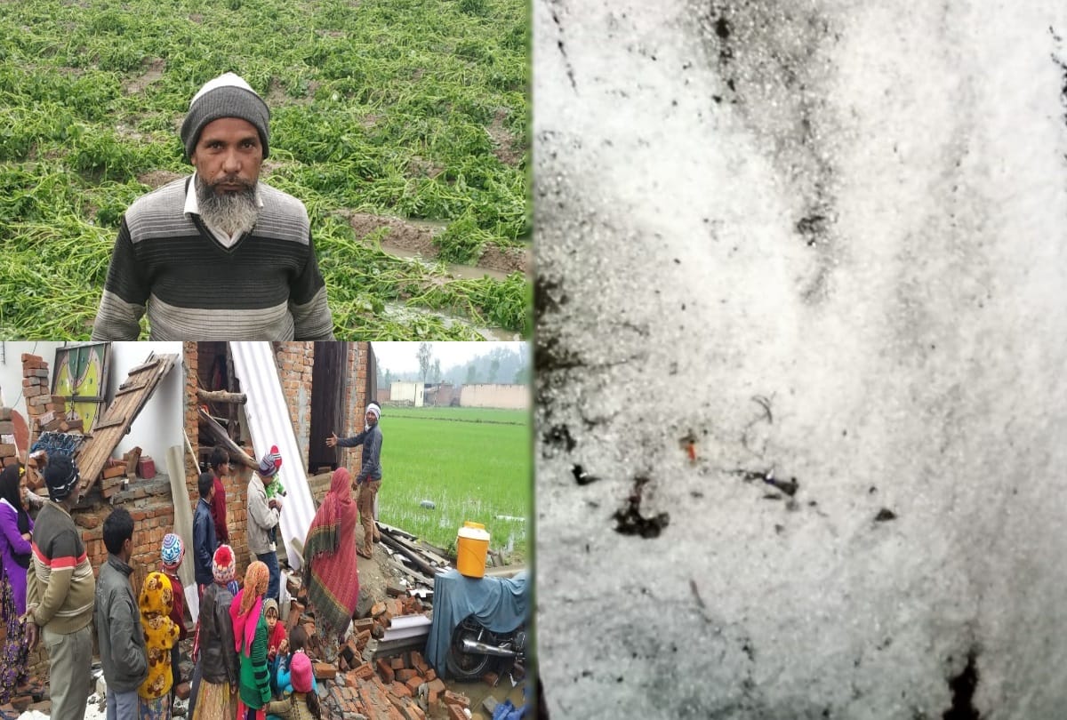 heavy rainfall in many parts of uttar pradesh and delhi ncr potato crops destroyed many house fall