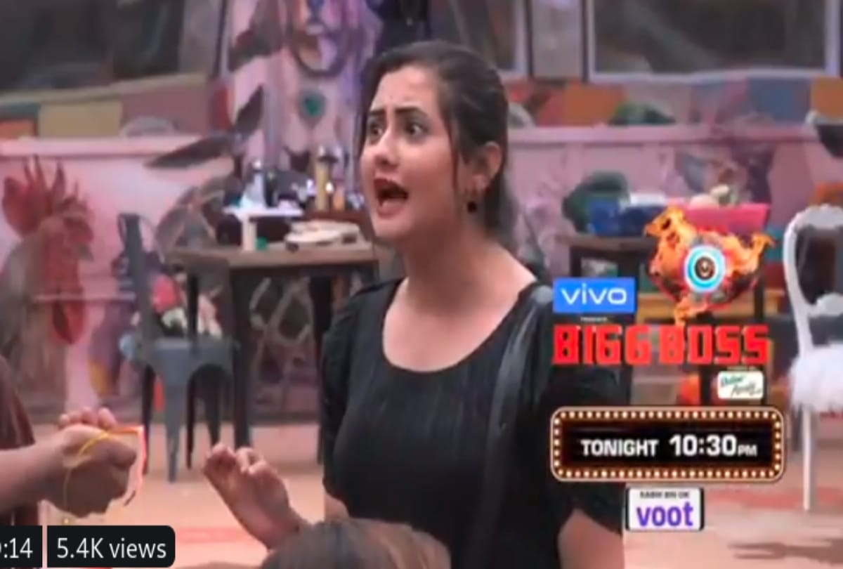 Bigg Boss 13 Vishal comment on Rashami Desai Siddharth Shukla romantic video actress lashes out