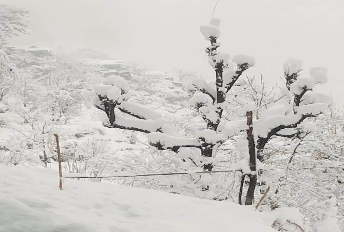 heavy snowfall in himachal, 300 hundred roads closes, Know the situation of the state from pictures