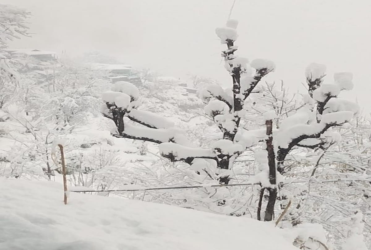 heavy snowfall in himachal, 300 hundred roads closes, Know the situation of the state from pictures