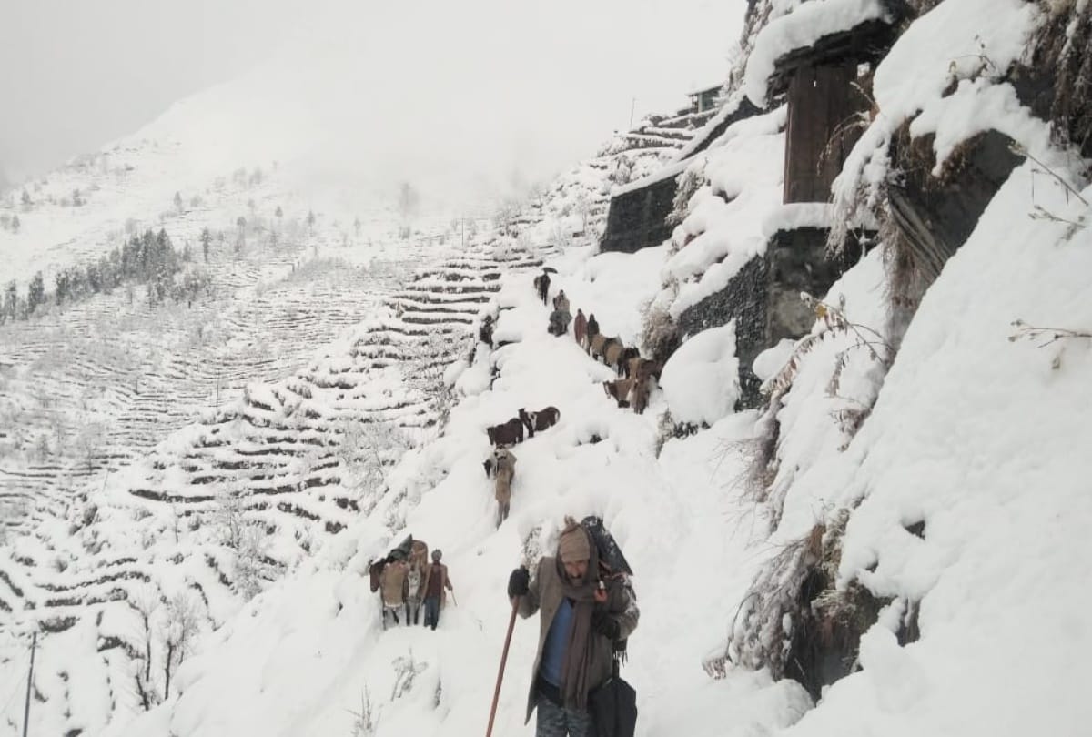 heavy snowfall in himachal, 300 hundred roads closes, Know the situation of the state from pictures