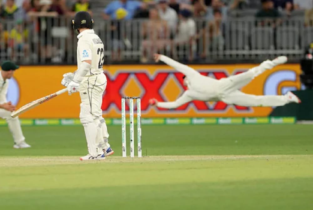 Australia vs New Zealand: Steve Smith Takes One Of The Best Catches, see VIDEO