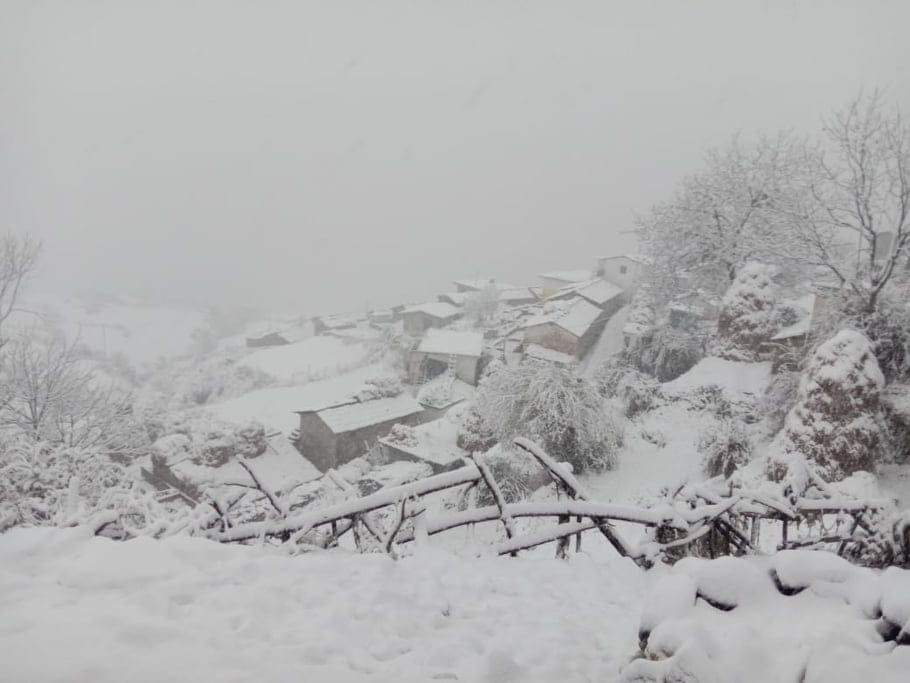 Snow Cover Uttarakhand after High Snowfall in hilly Area Beautiful Photos