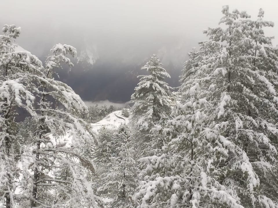 Uttarakhand weather Forecast: snowfall and rainfall will welcome New year 2020
