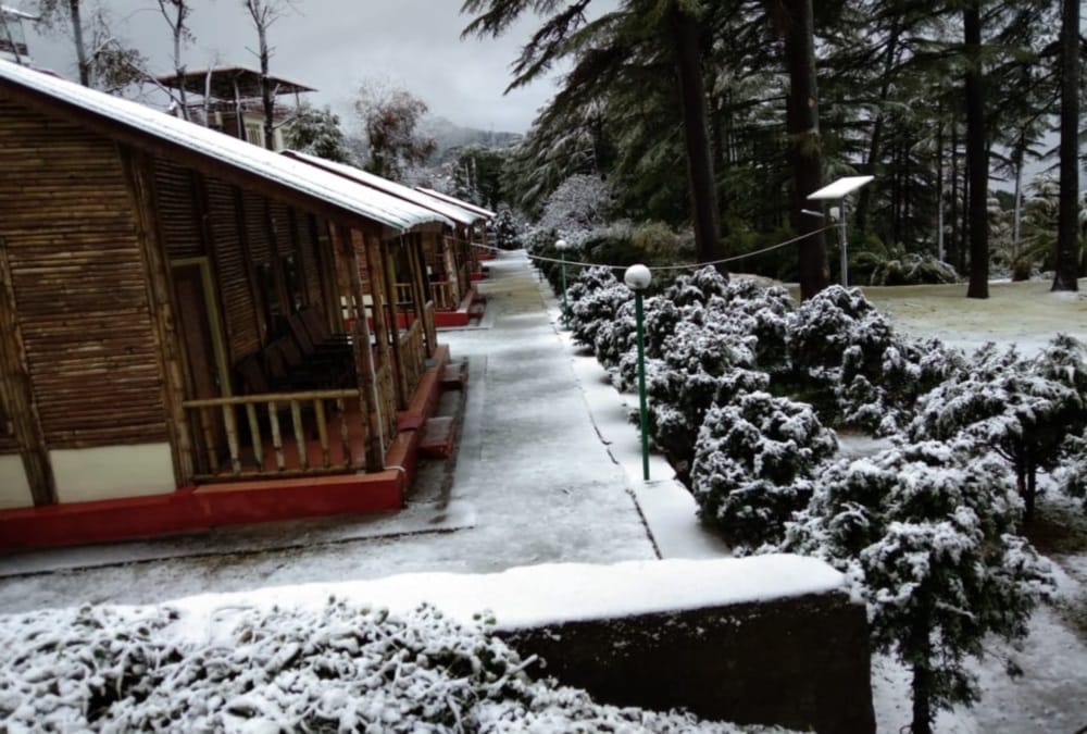 Snow Cover Uttarakhand after High Snowfall in hilly Area Beautiful Photos
