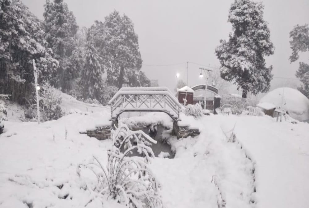 Uttarakhand Weather update: Cold Day Conditions Rainfall and Snowfall welcome New Year 2020