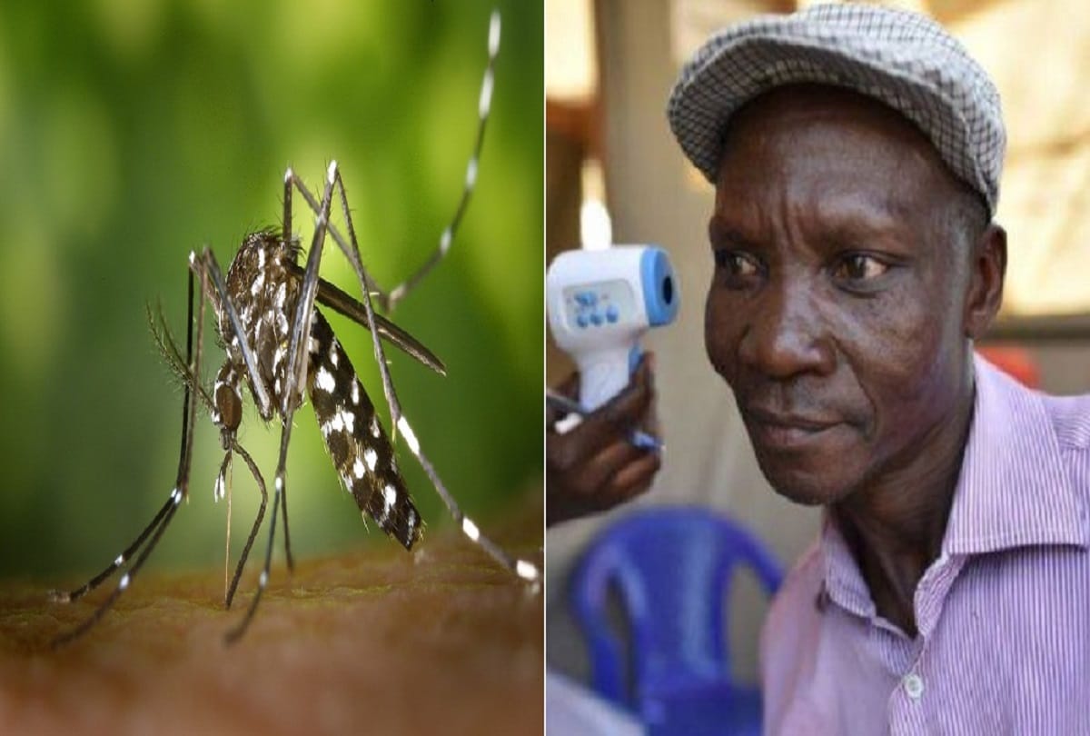 Uganda Man deadly farts can kill mosquitoes six metres away