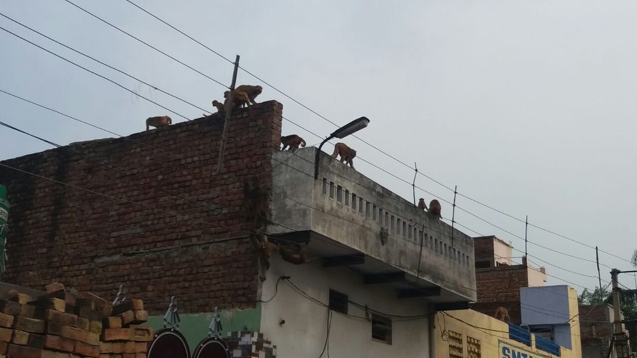 electric wire, change, electric department