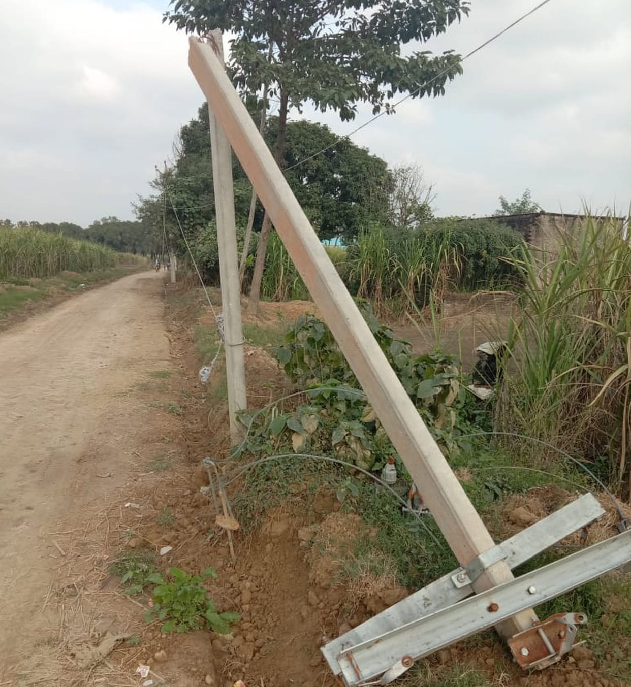 Trees fall at home due to rain, teenager dies
