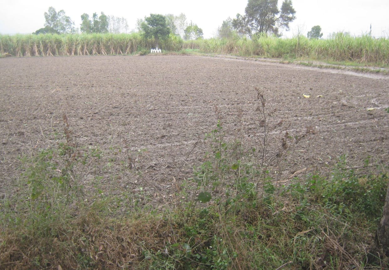 Rain in khatauli