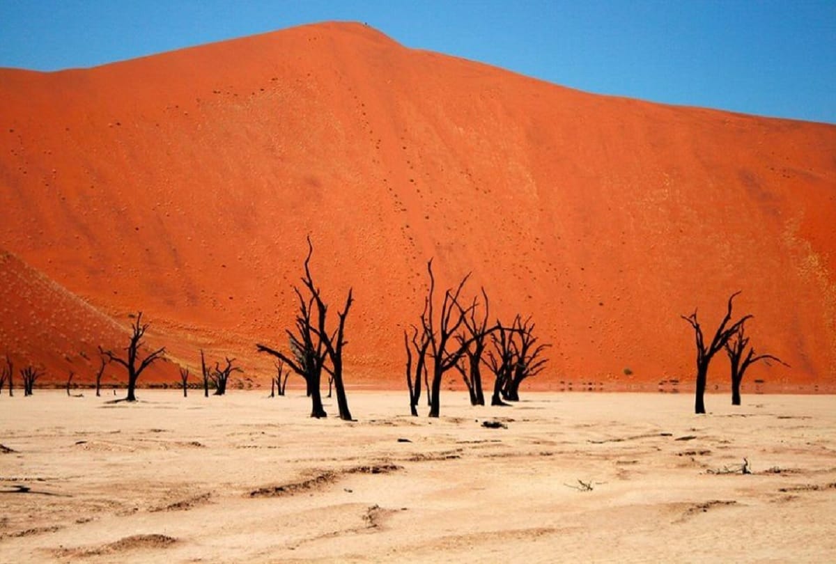 Unsolved mysteries of the worlds oldest desert Namib desert Africa