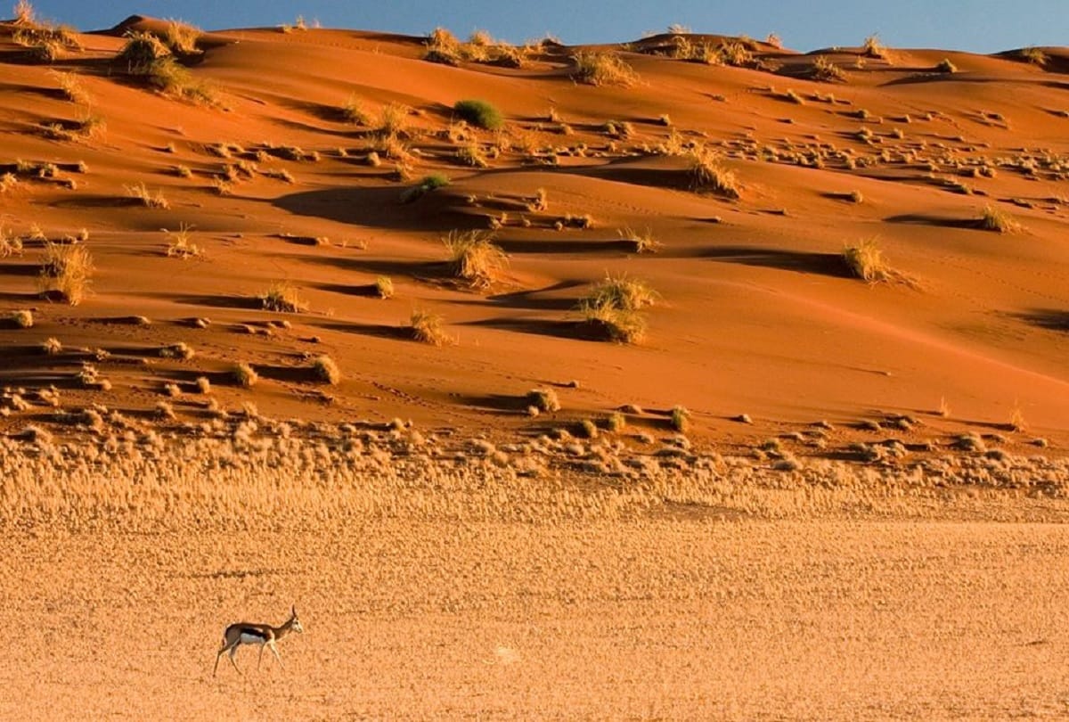 Unsolved mysteries of the worlds oldest desert Namib desert Africa