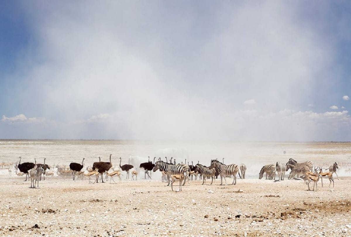 world oldest desert namib desert africa unsolved mysteries