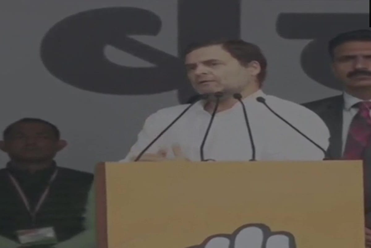 Rahul Gandhi in bharat bachao rally says i will not apologise for truth, they work to create divides