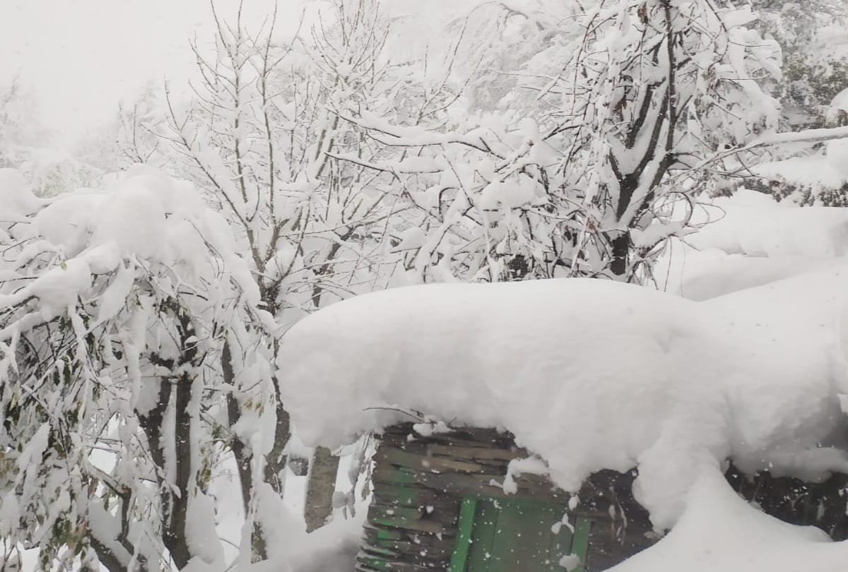 heavy snowfall at mountains, cold winds increased the cold in Western UP