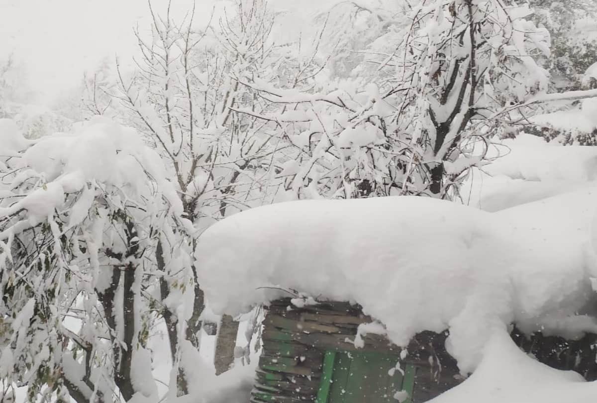 431 roads including six NH closed in himachal, 170 tourists rescued, see situation in pictures