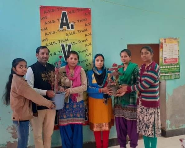 plants distribute in parikshatgarh