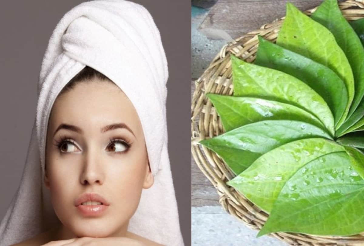 beauty benefits of betel leaves