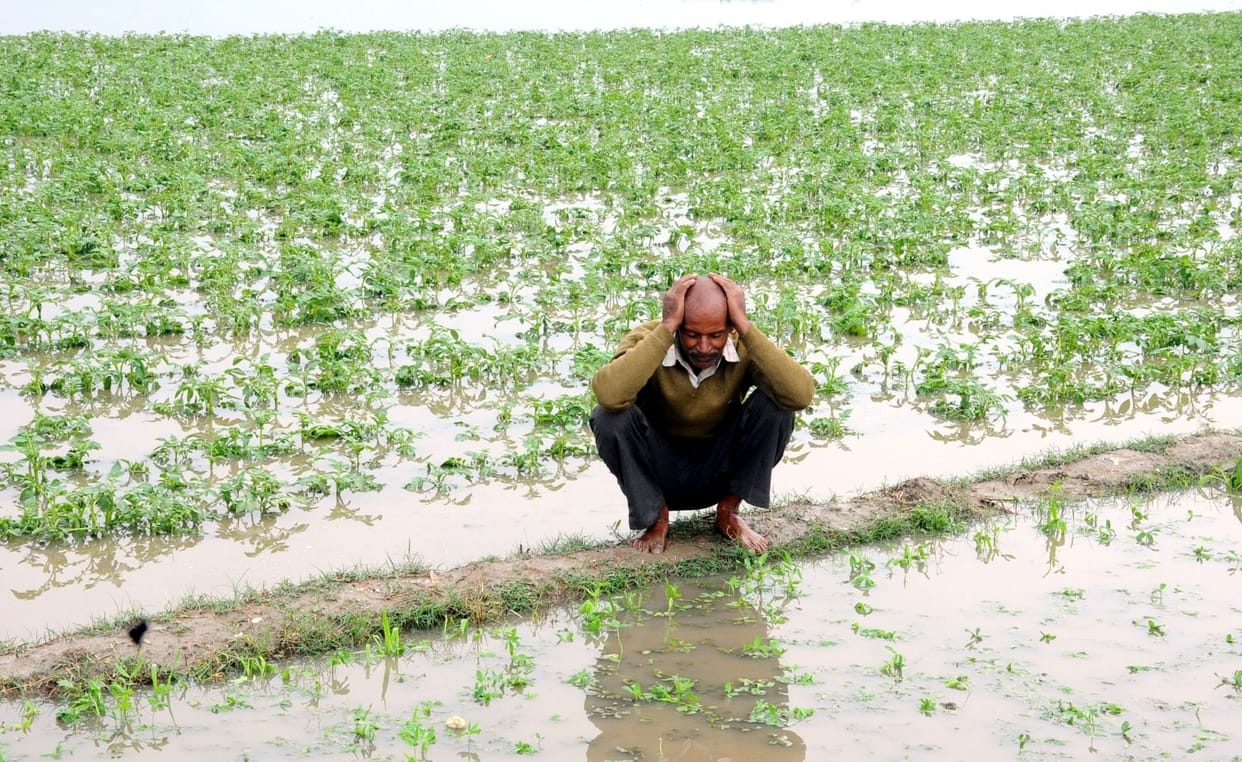 compensation of wested crops