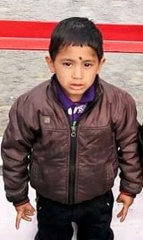 kid died after a tree fell on him