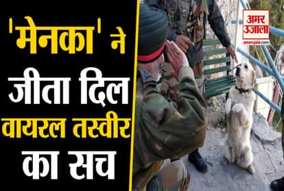 Know The Story behind viral picture of the dog menaka saluting top army commander dhillon