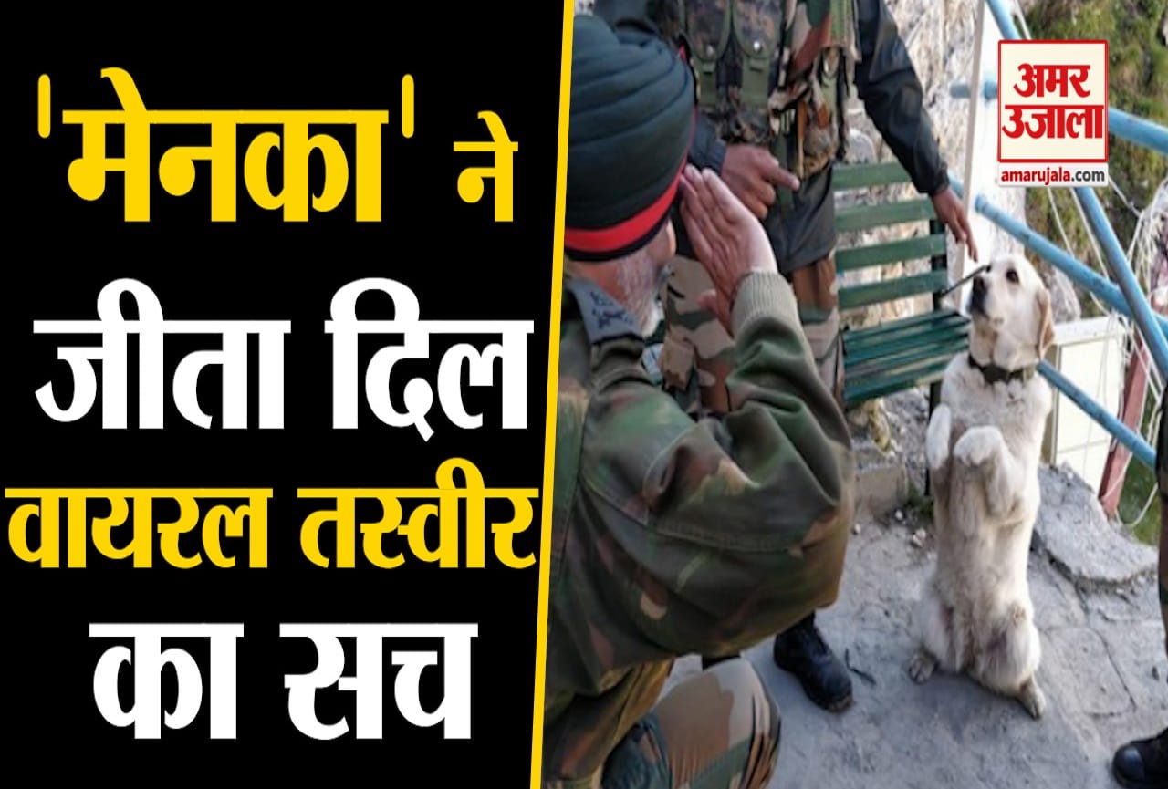 भारतीय सेना का 'मेनका' कुत्ता