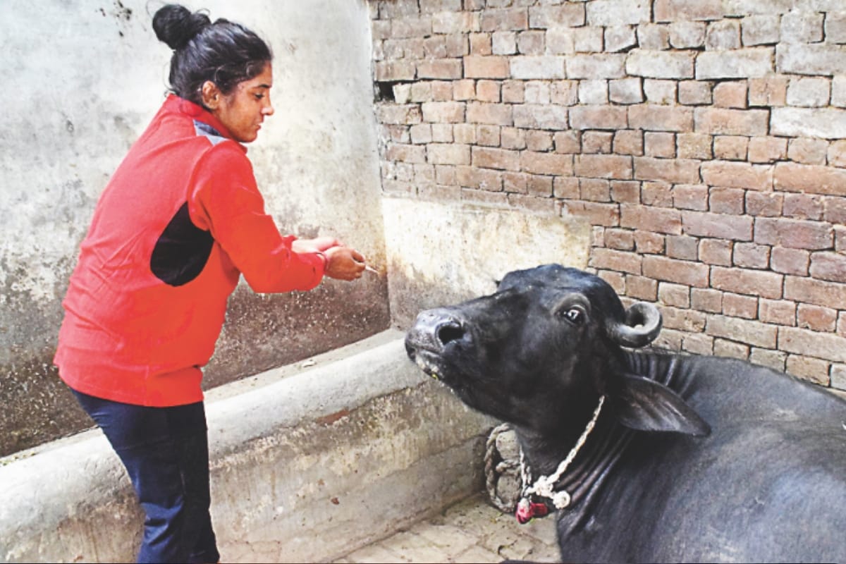 Lado, Baghpat wrestler Anshu tomar is becoming an inspiration for other girls