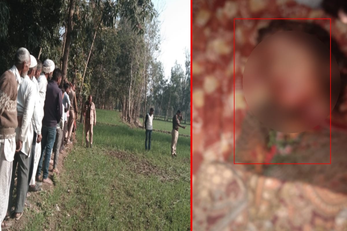 Eighty year old girl killed by stray dogs in Saharanpur