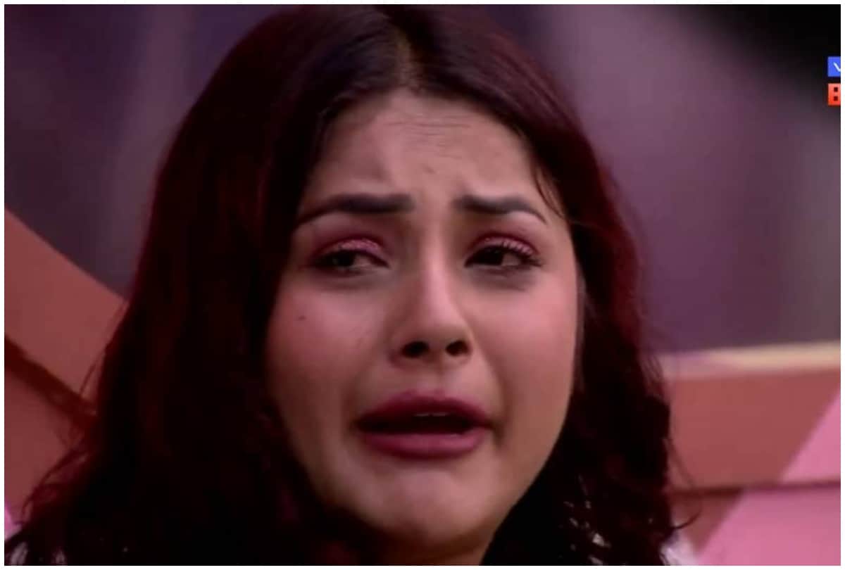 bigg boss 13 shehnaz kaur gill talk about his family dispute and marriage