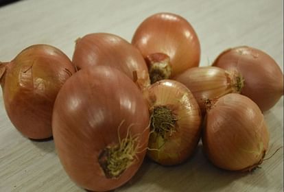 Onion: Center will buy two lakh more tonnes of onion for buffer stock